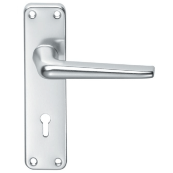 Eurospec Aluminium Lever Lock on Backplate